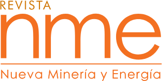 logo revista nme